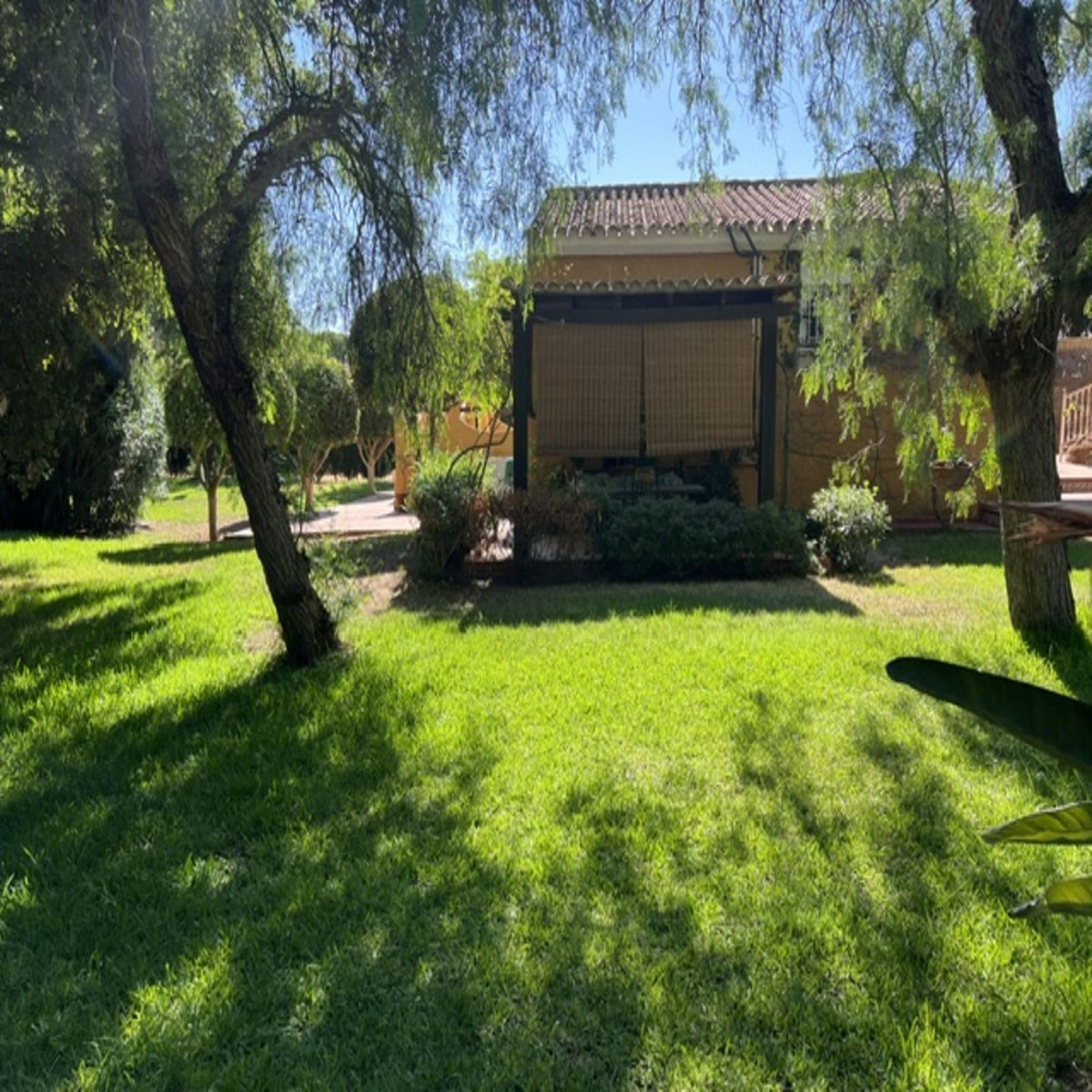 Huis te koop in El Rosario | 3 slaapkamers H5375830