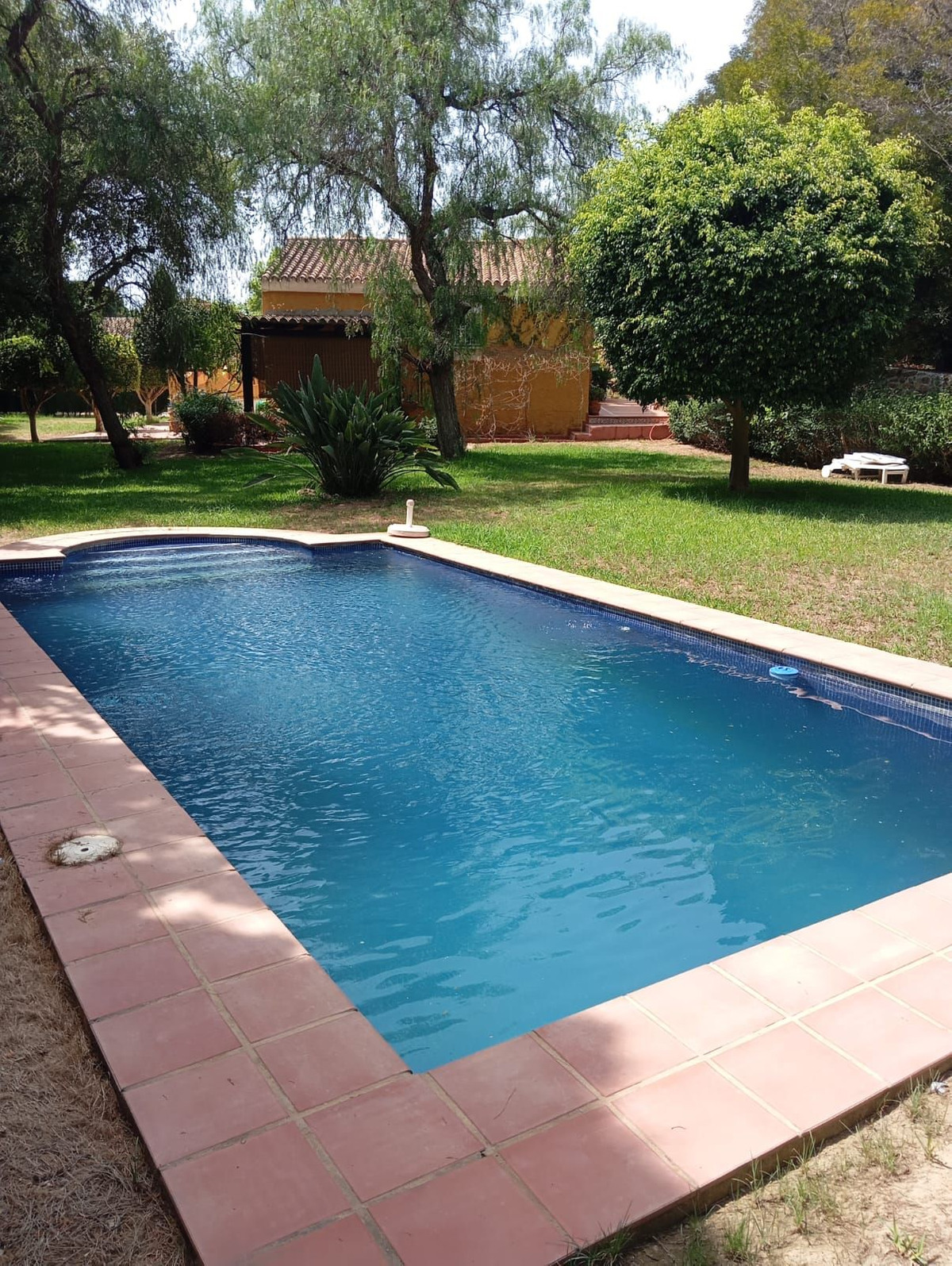 Huis te koop in El Rosario | 3 slaapkamers H5375830