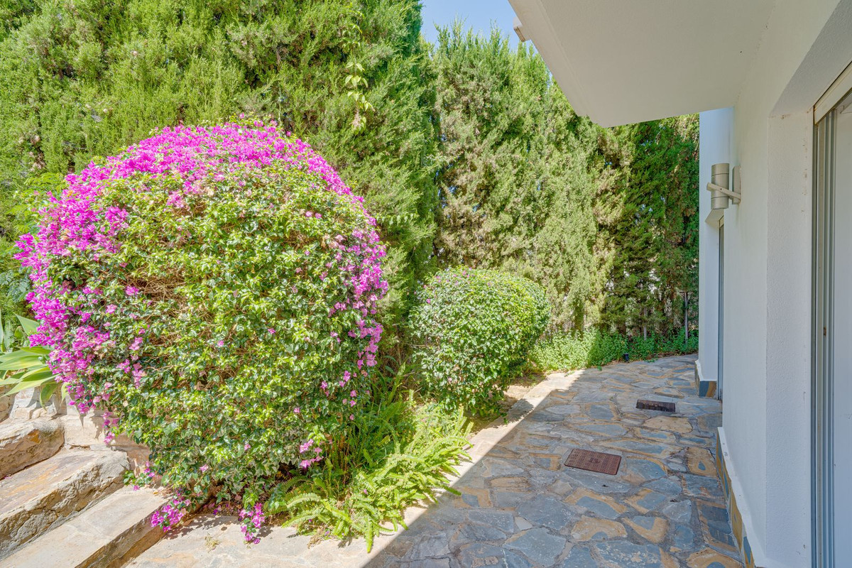 Property main view 25