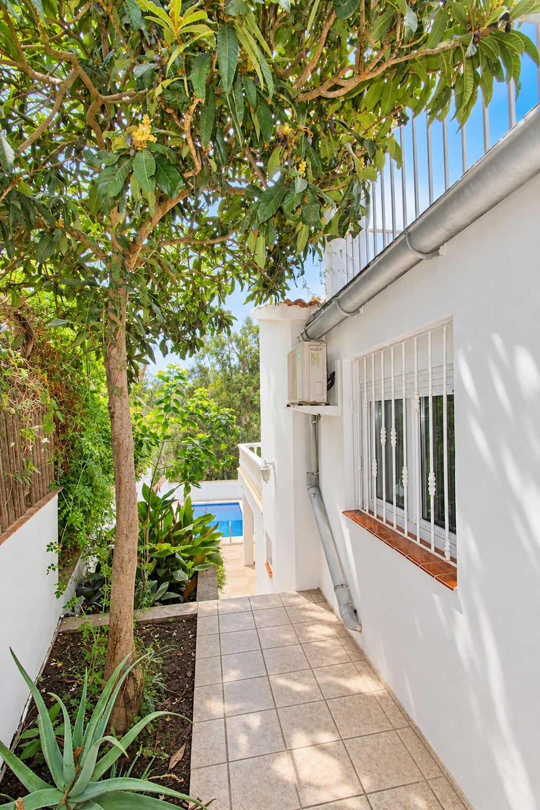 Huis te koop in El Rosario | 3 slaapkamers H5500612