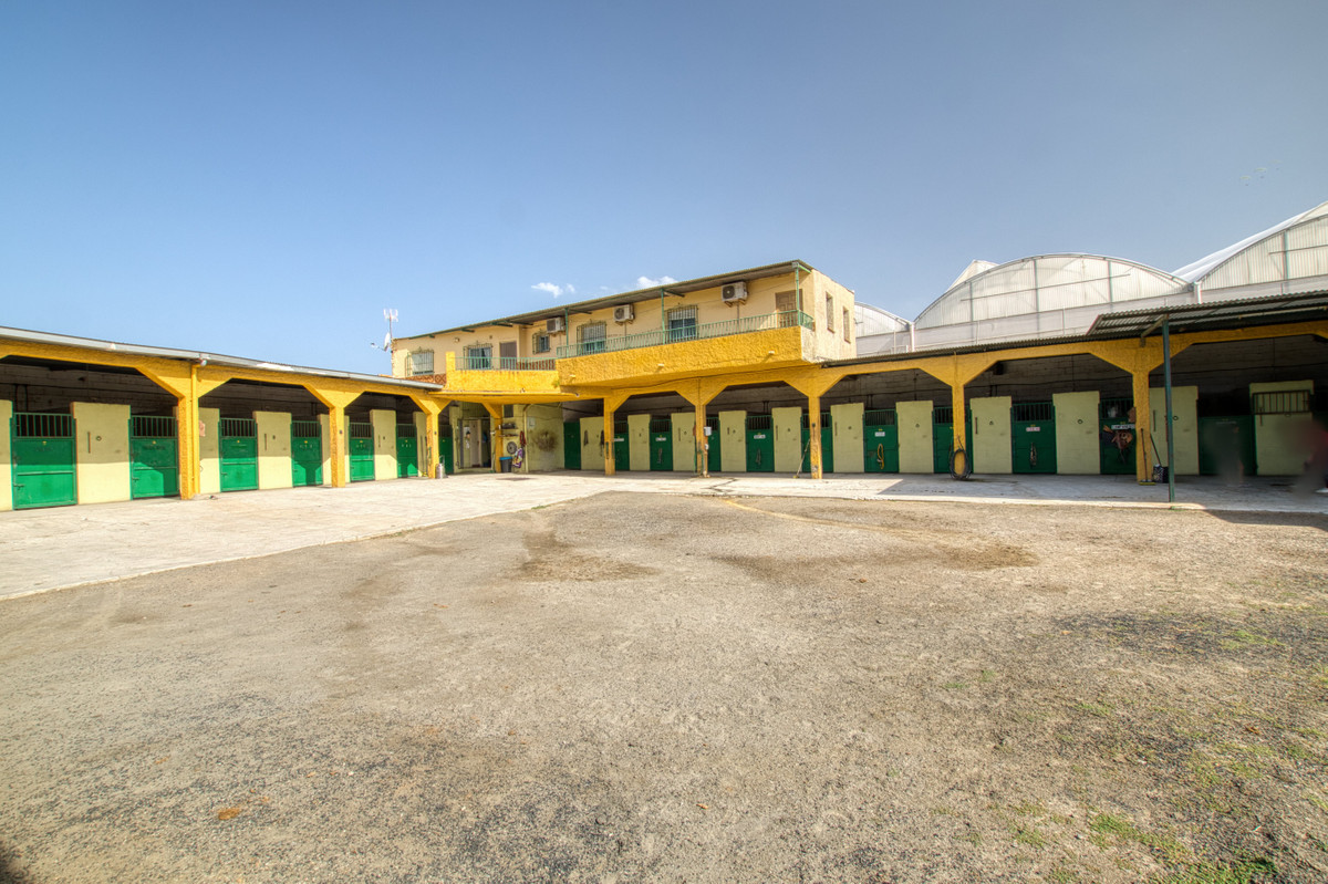 Finca - Cortijo in El Tomillar-11