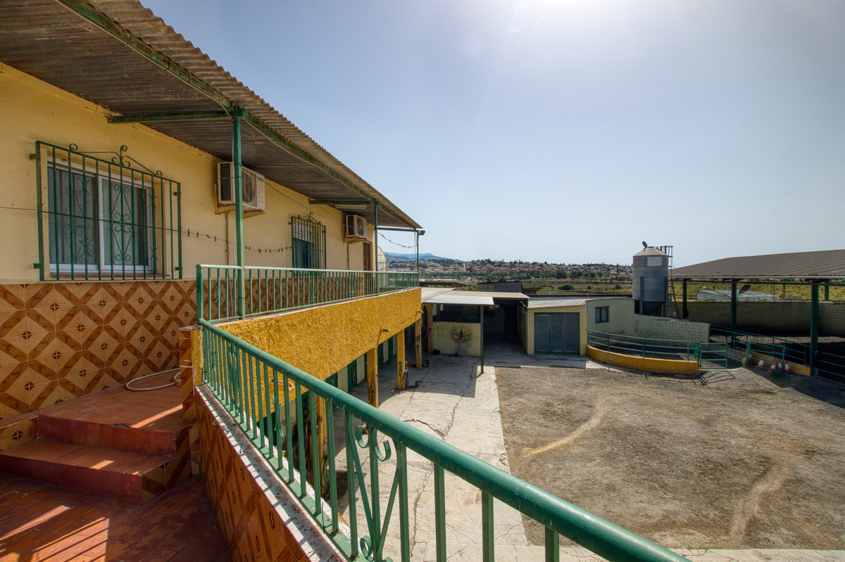 Finca - Cortijo in El Tomillar-27