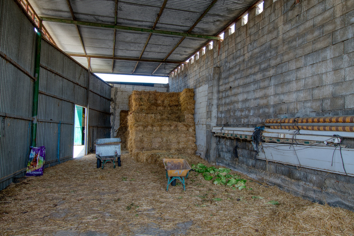 Huis te koop in Torre del Mar | 4 slaapkamers H5253754