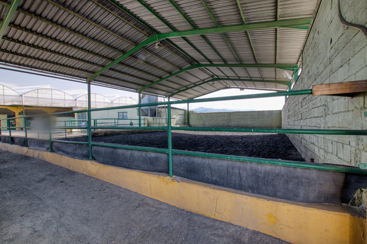 Huis te koop in Torre del Mar | 4 slaapkamers H5253754