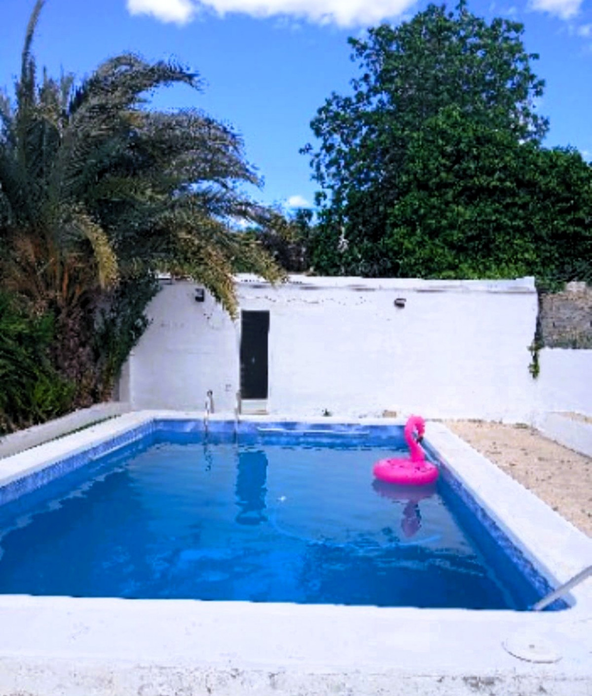 Vrijstaande Villa te koop in Elche | 5 slaapkamers H5294323