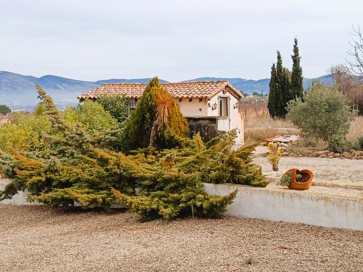 Property main view 12