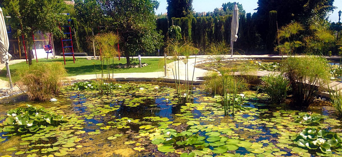 Property main view 17