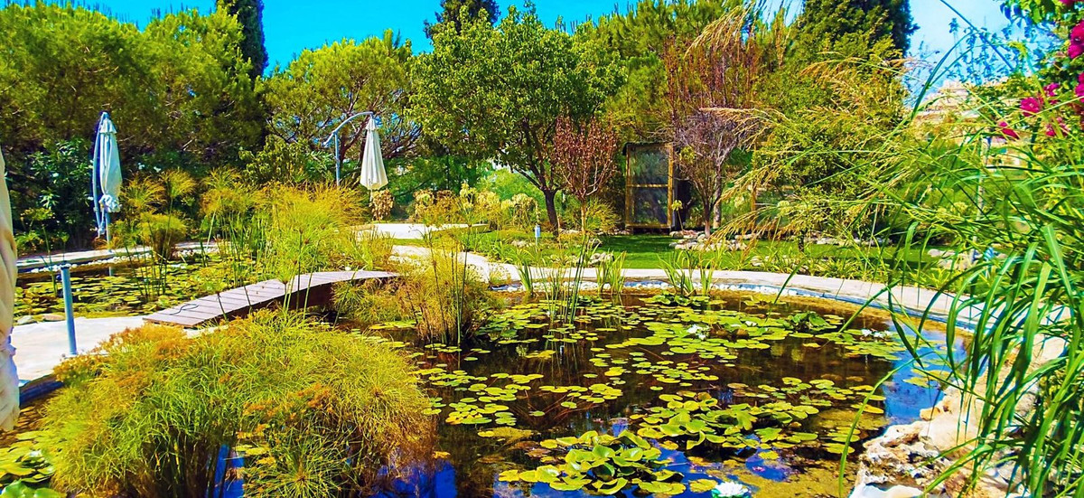 Property main view 18