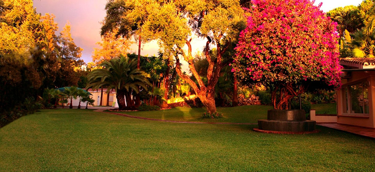 Property main view 6