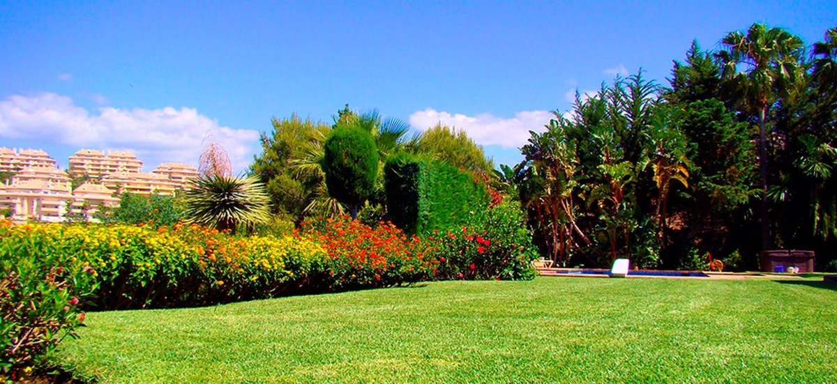 Property main view 7