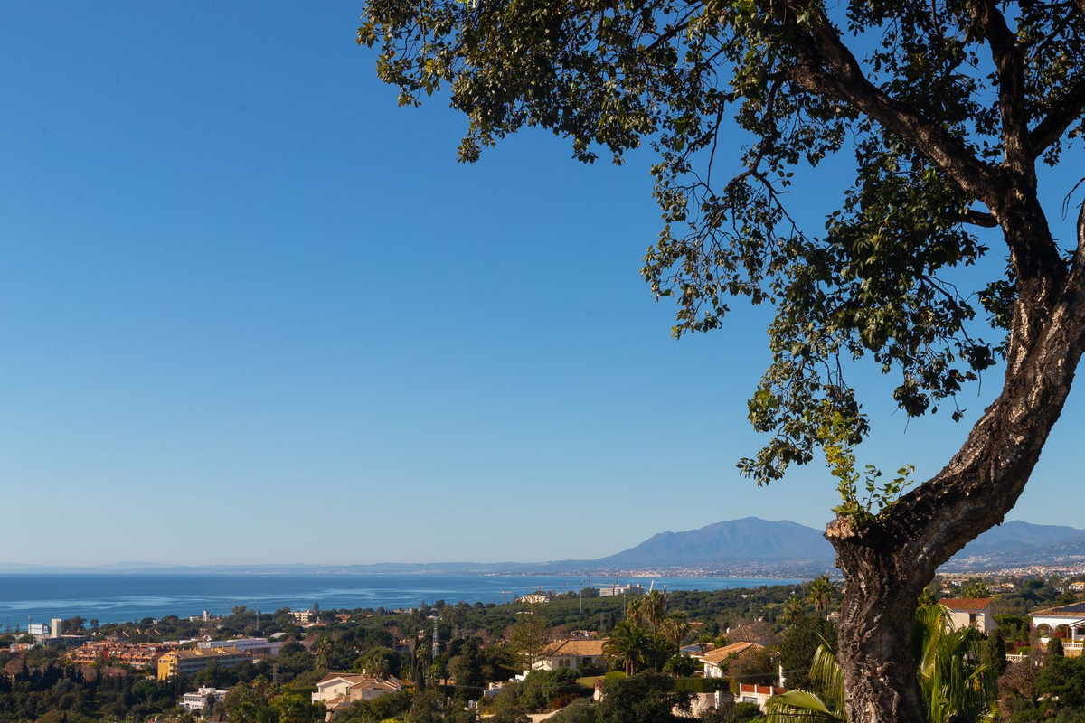 Property main view 37