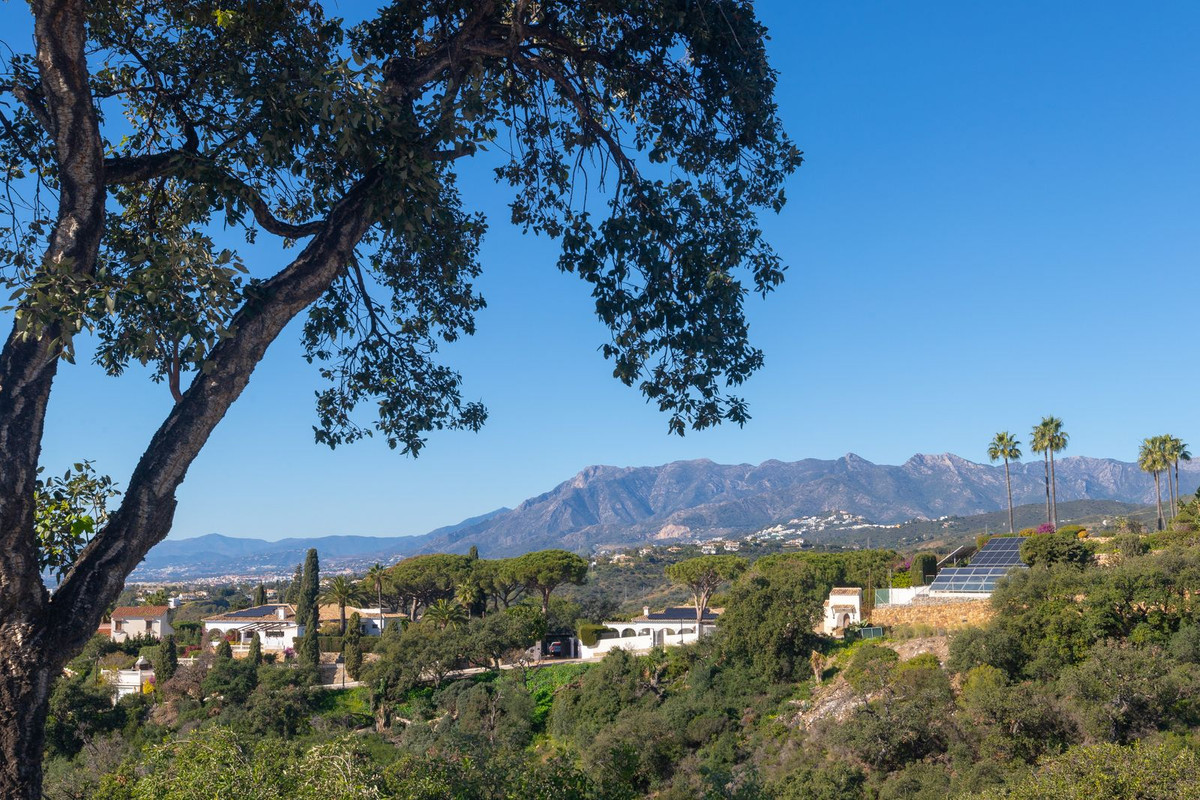 Property main view 38