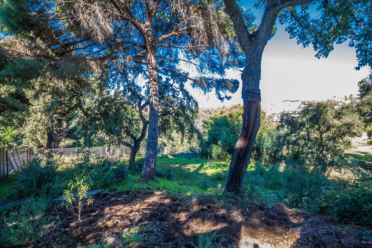 Property main view 14