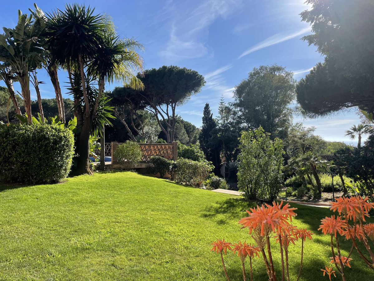 Property main view 14