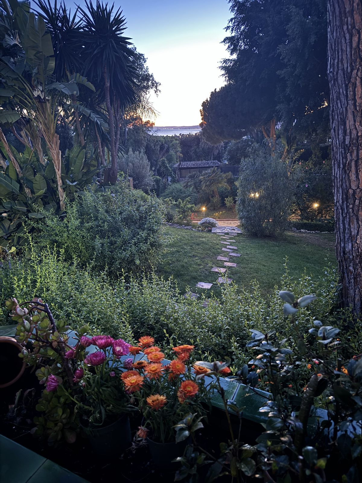 Property main view 15