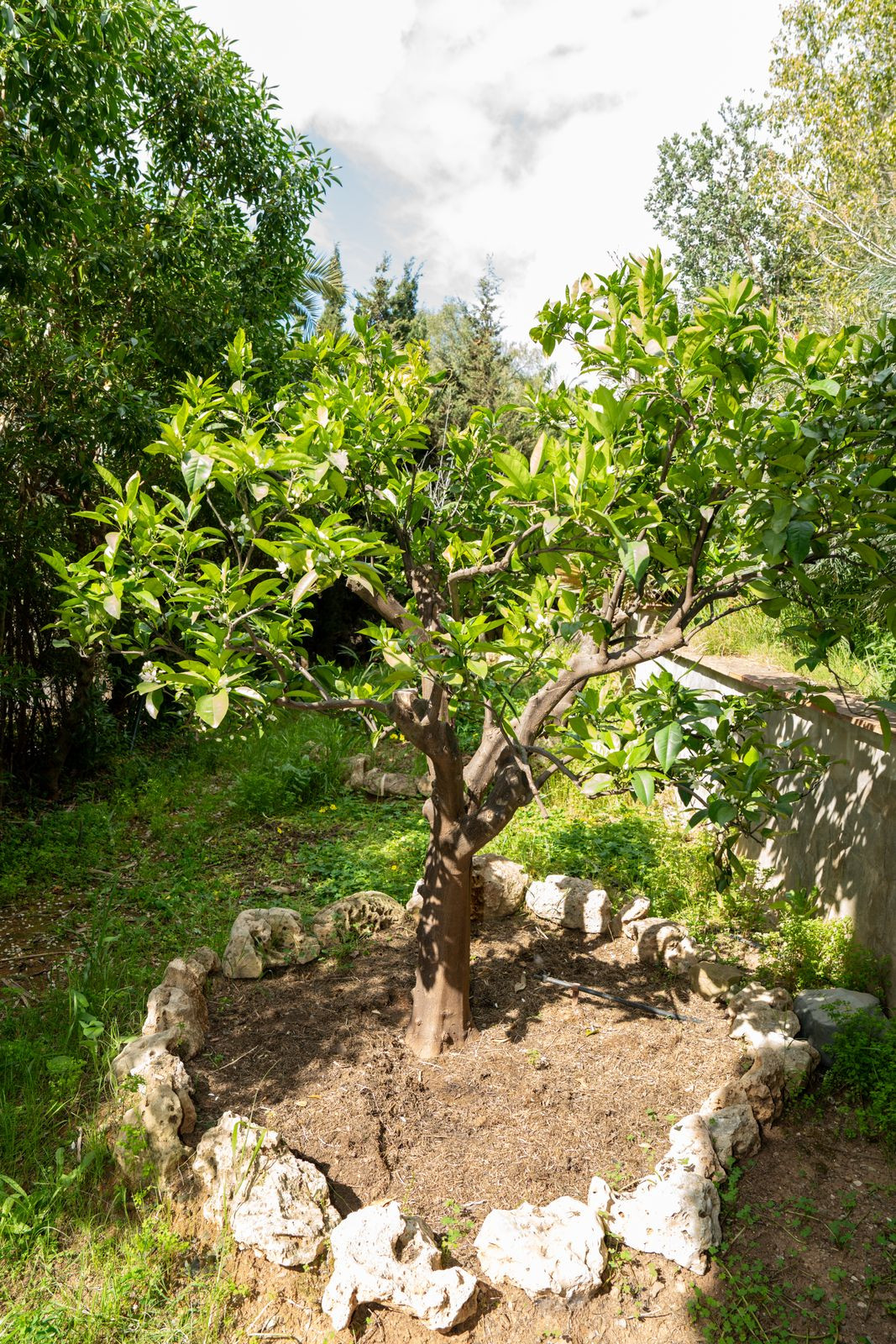 Property main view 6