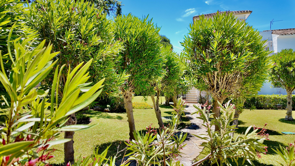 Property main view 32