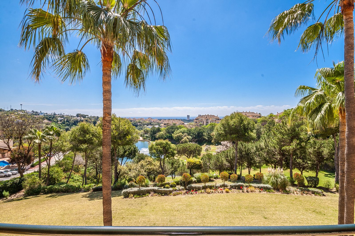 Property main view 9