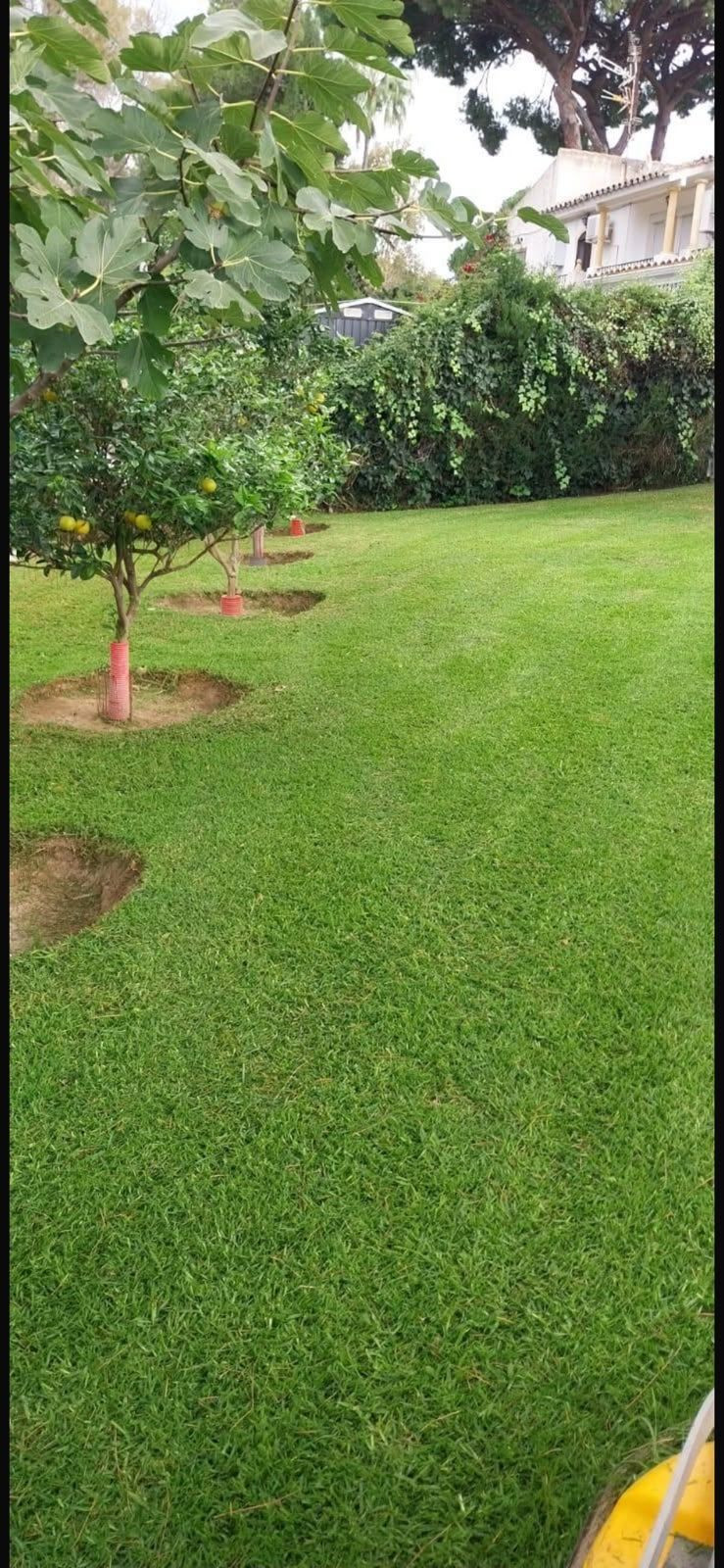 Property main view 17