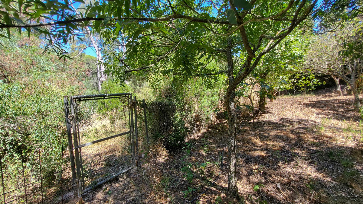 Property main view 33