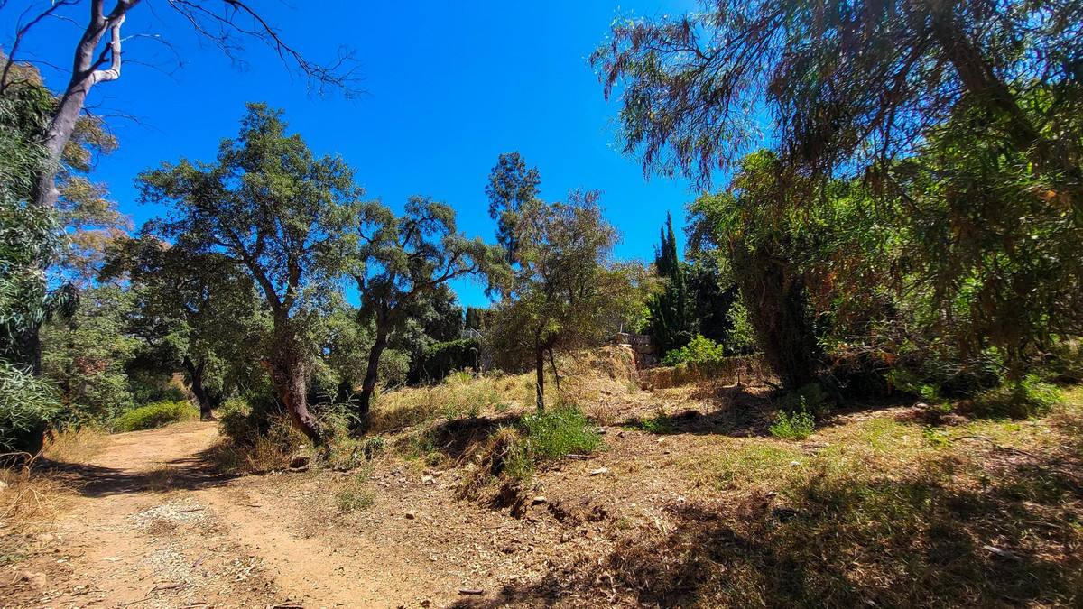 Property main view 35