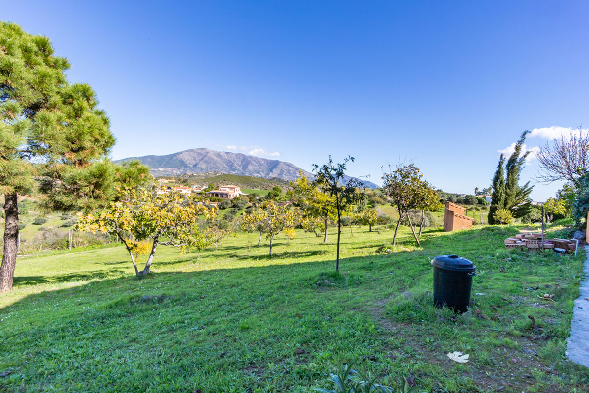 Finca - Cortijo in Entrerrios-17