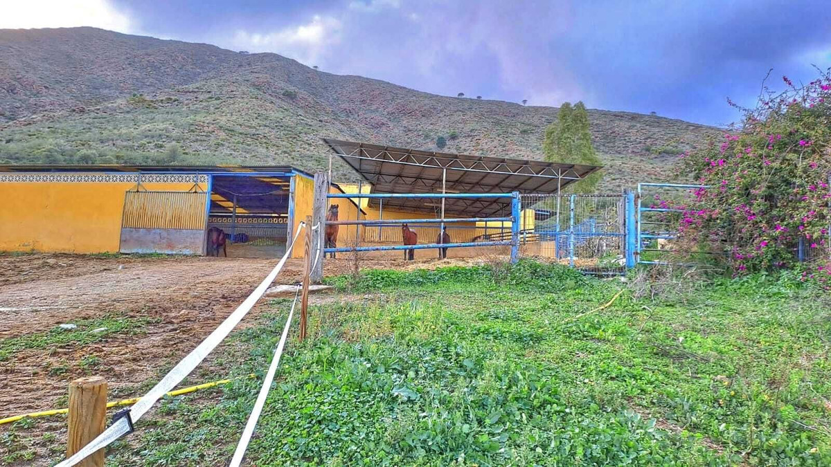 Finca - Cortijo in Entrerrios-12