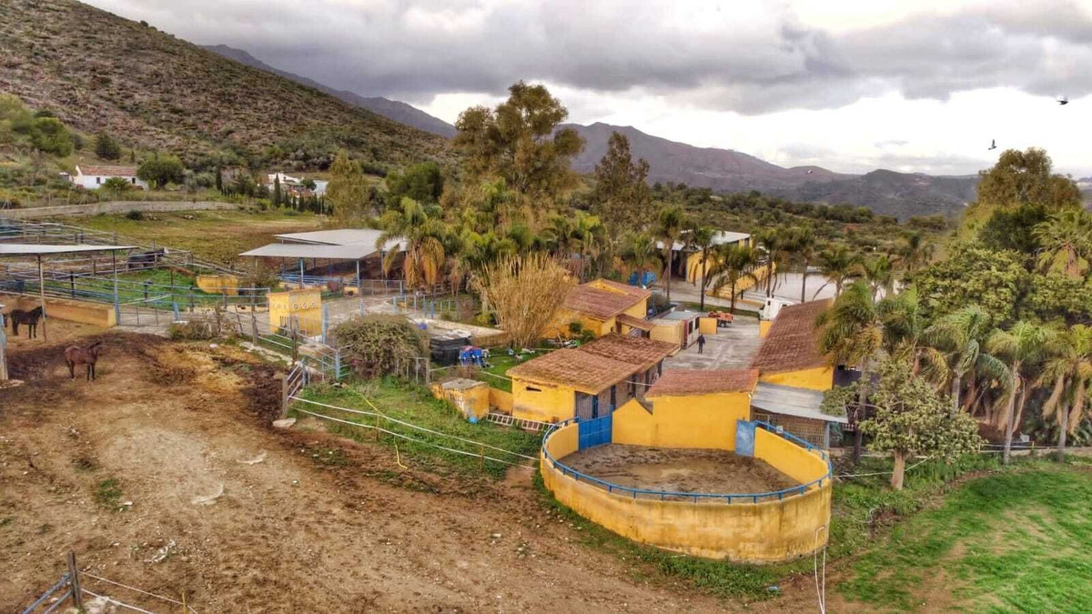 Finca - Cortijo in Entrerrios-16