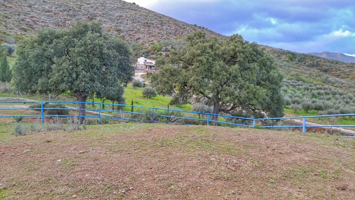 Finca - Cortijo in Entrerrios-25