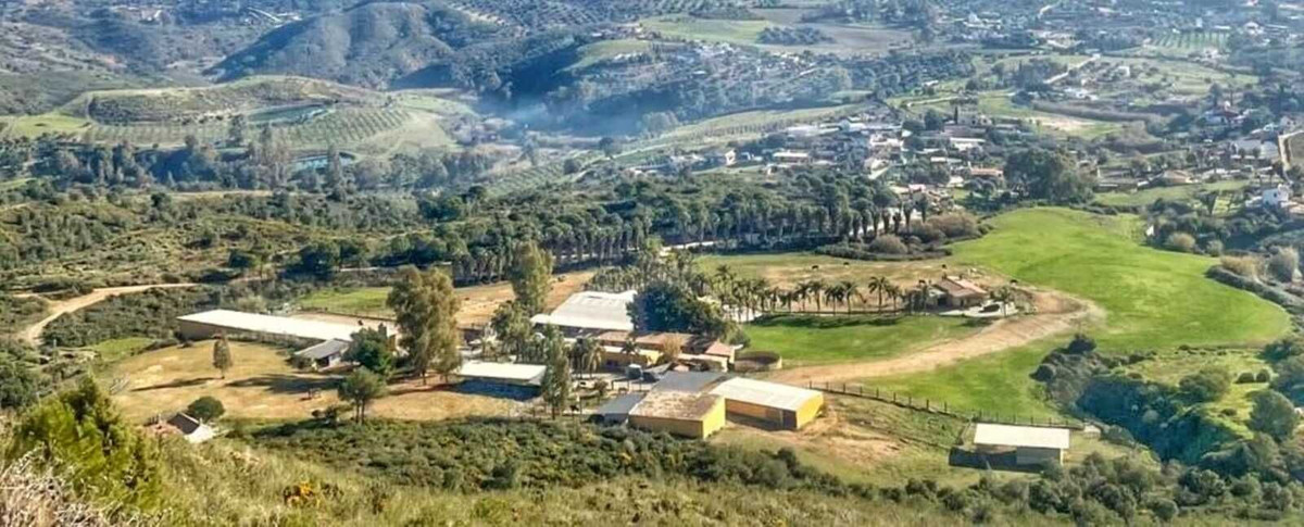 Finca - Cortijo in Entrerrios-6