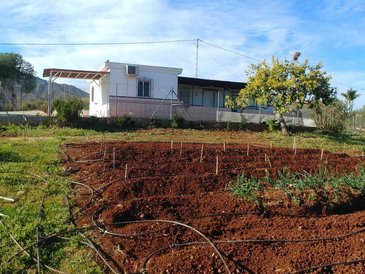 Finca - Cortijo in Entrerrios-1