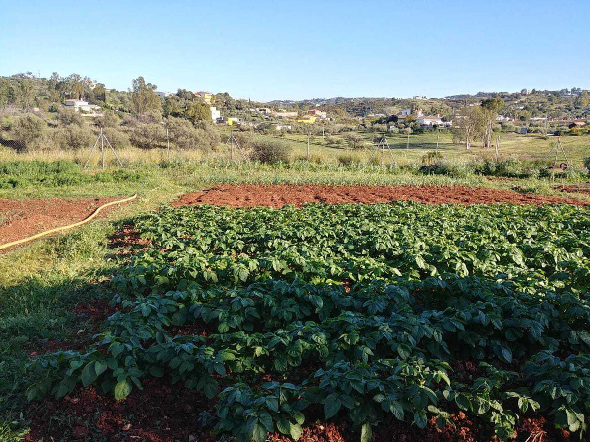 Finca - Cortijo in Entrerrios-18