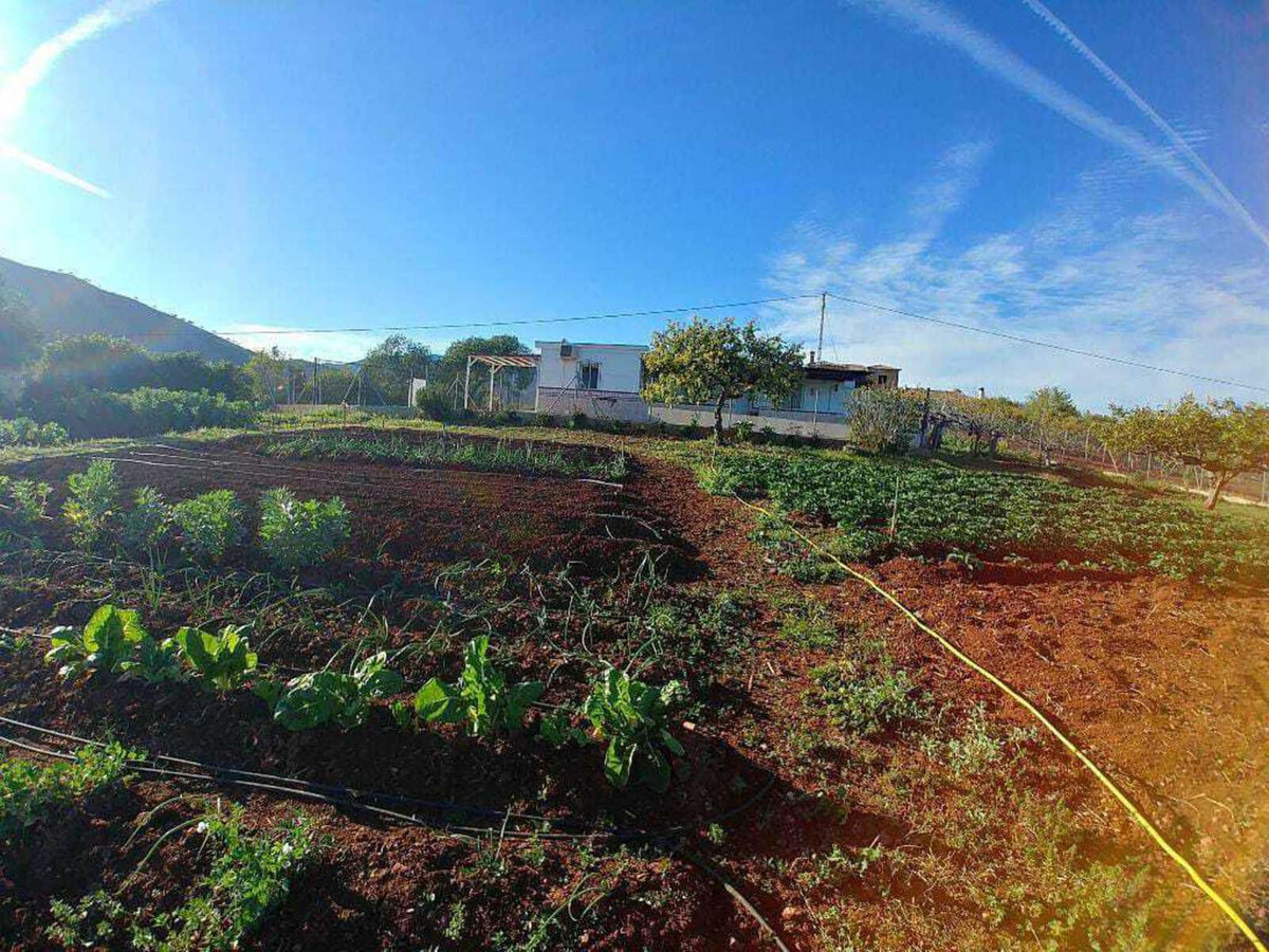 Finca - Cortijo in Entrerrios-2