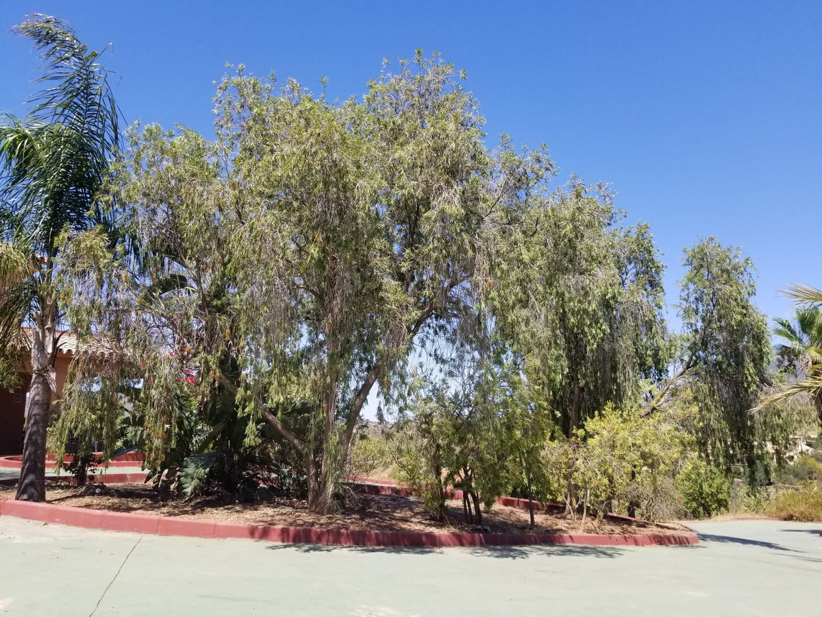 Huis te koop in Entrerrios | 4 slaapkamers H5075572