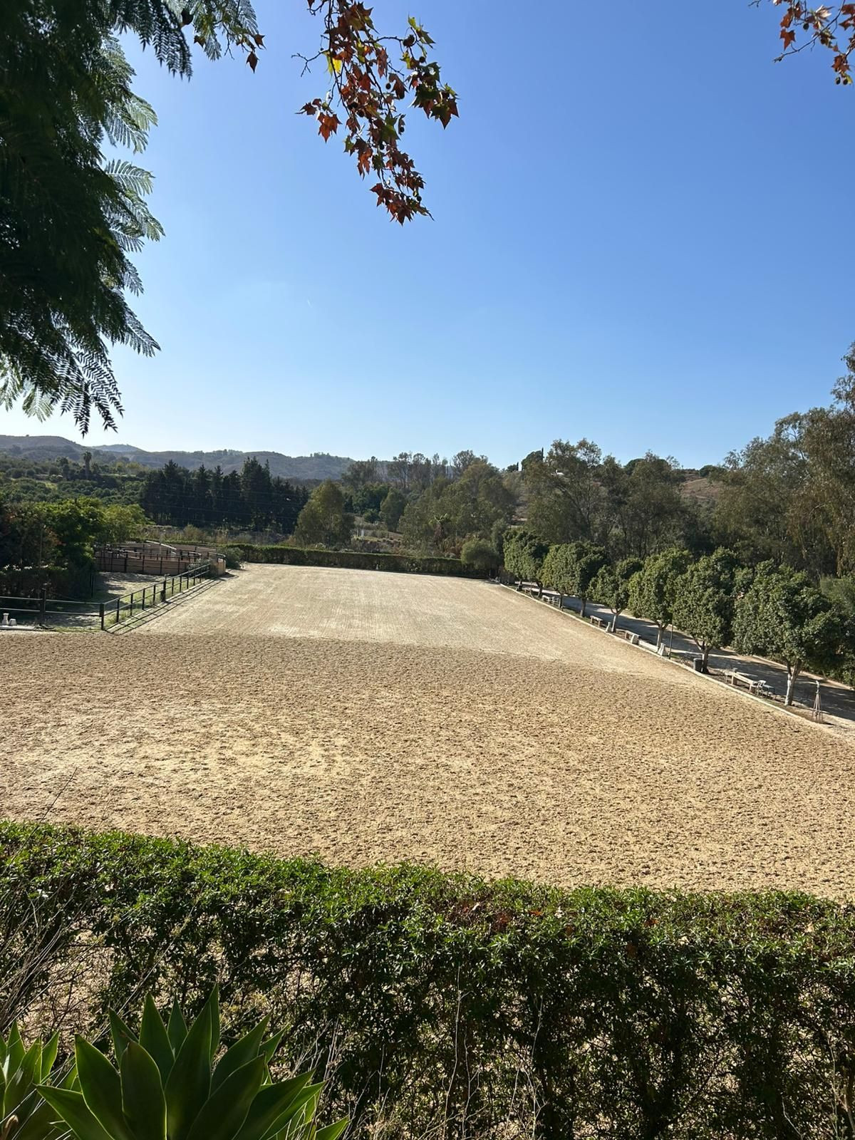 Property main view 11