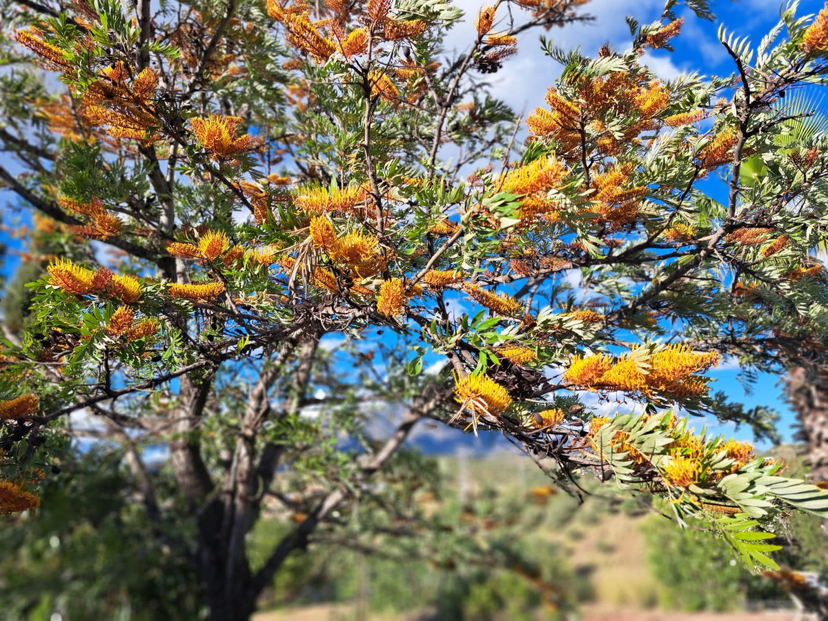 Property main view 10