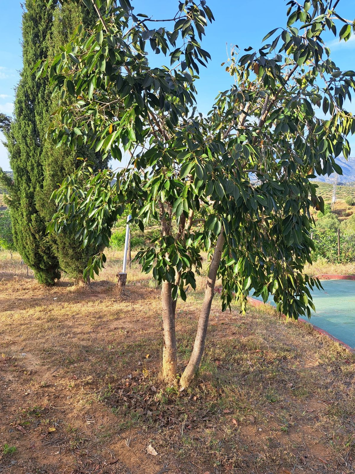 Property main view 37