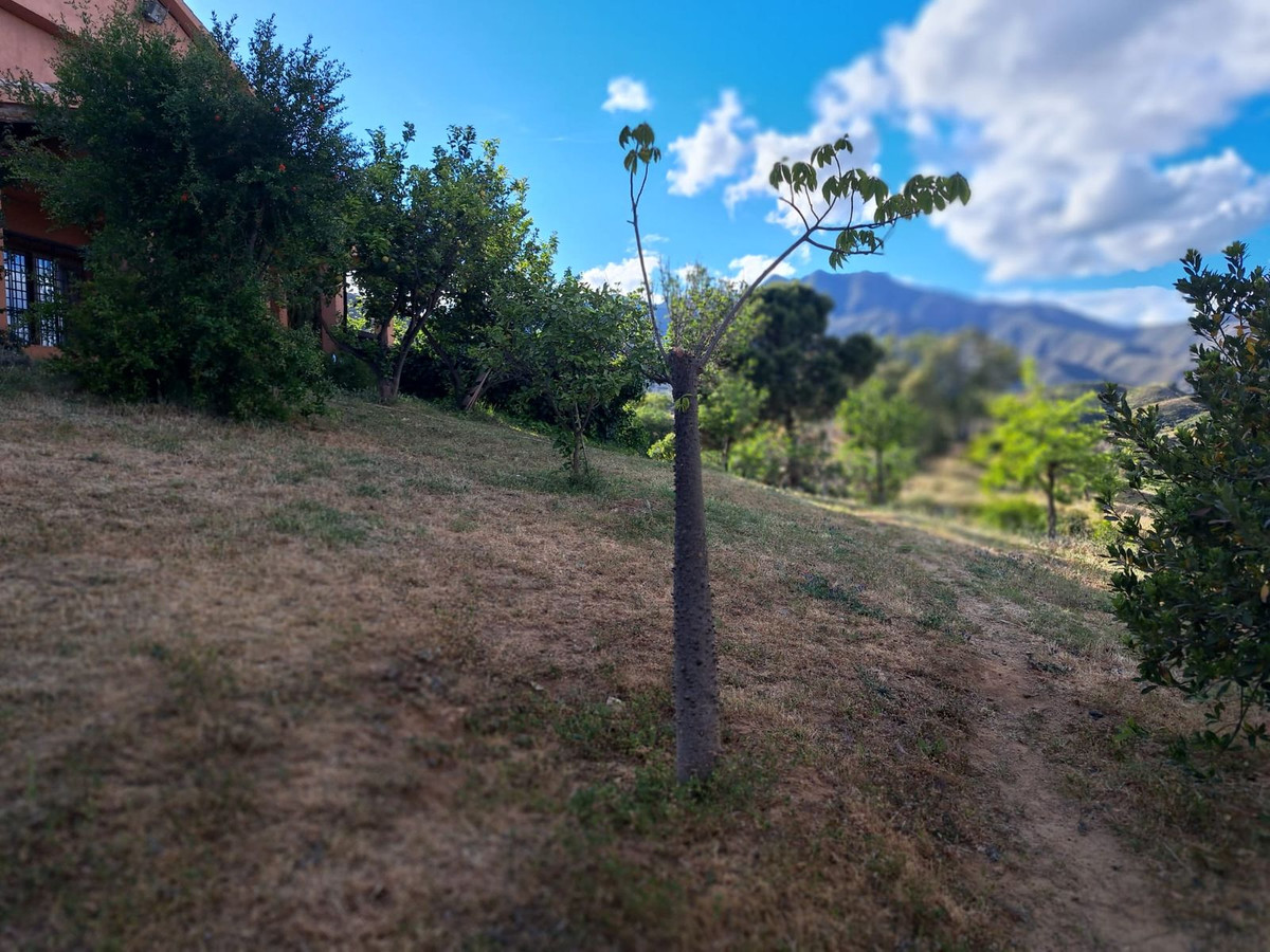 Property main view 9