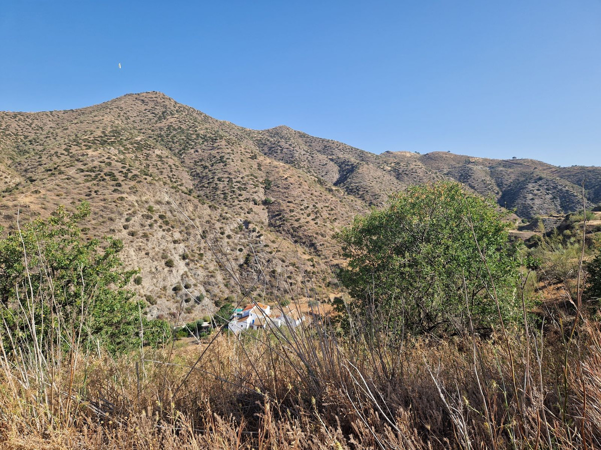 Finca - Cortijo in Estacion de Cartama-37