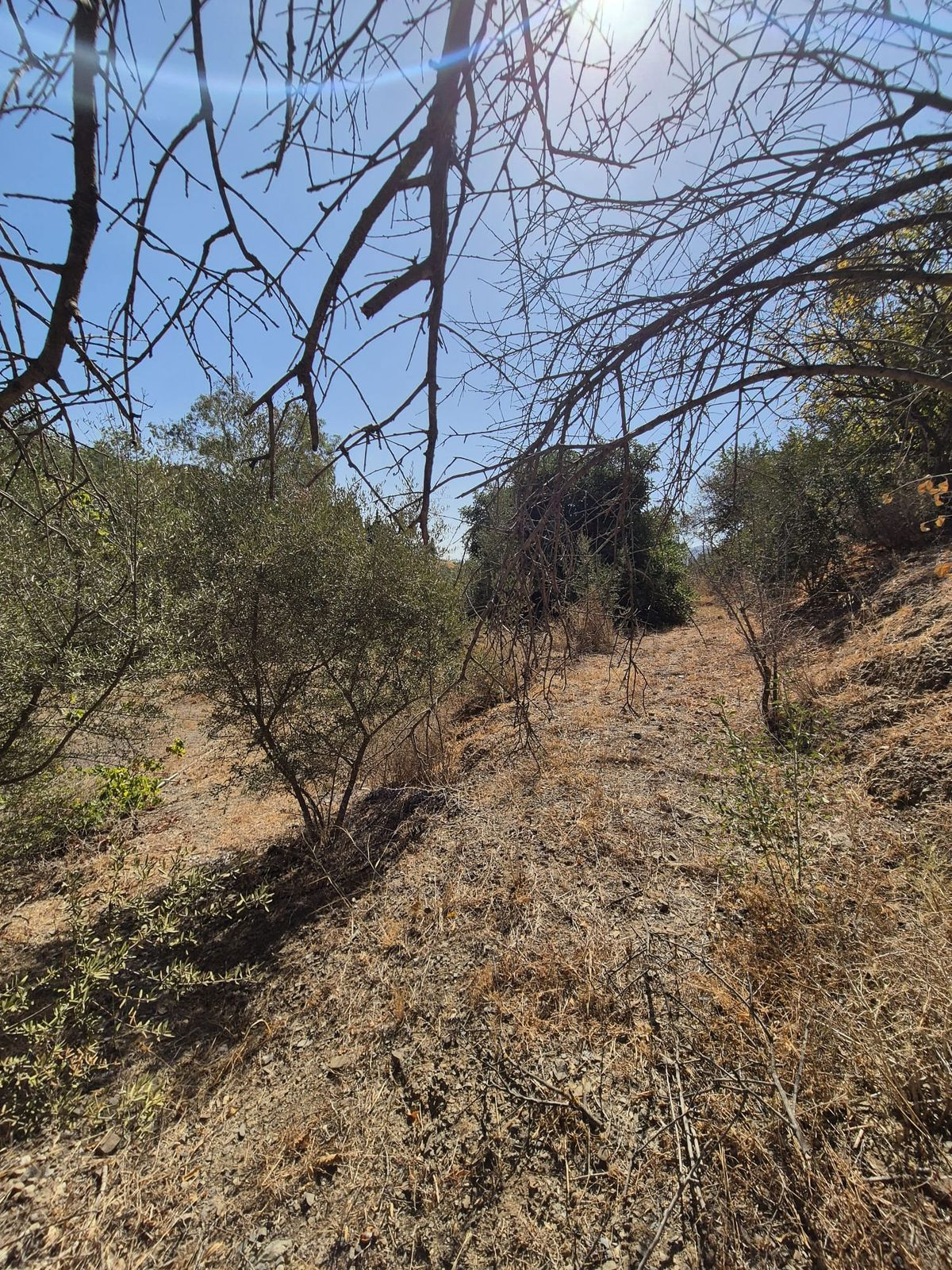 Huis te koop in Estacion de Cartama | 3 slaapkamers H5187958