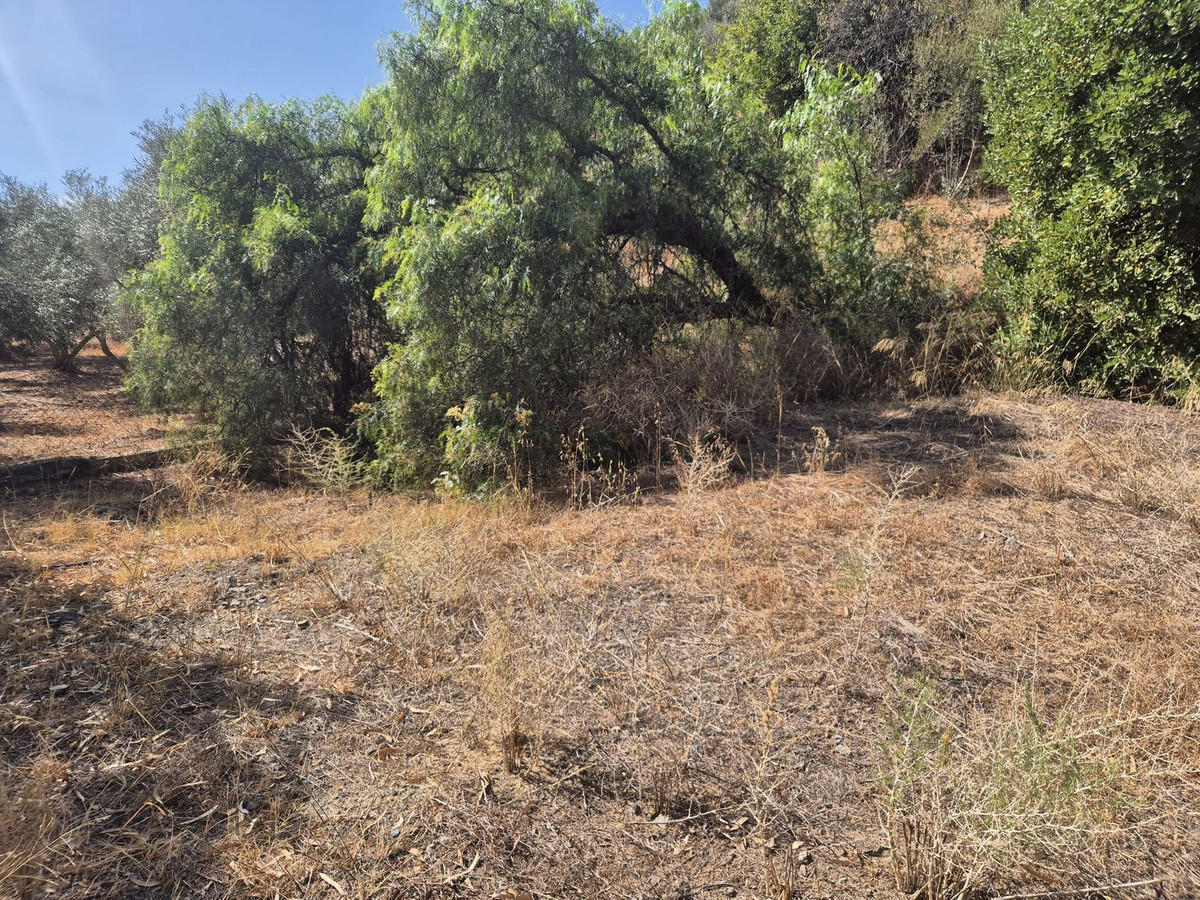 Huis te koop in Estacion de Cartama | 3 slaapkamers H5187958