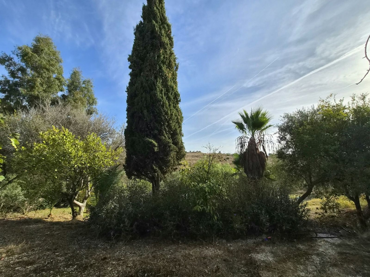 Property main view 25