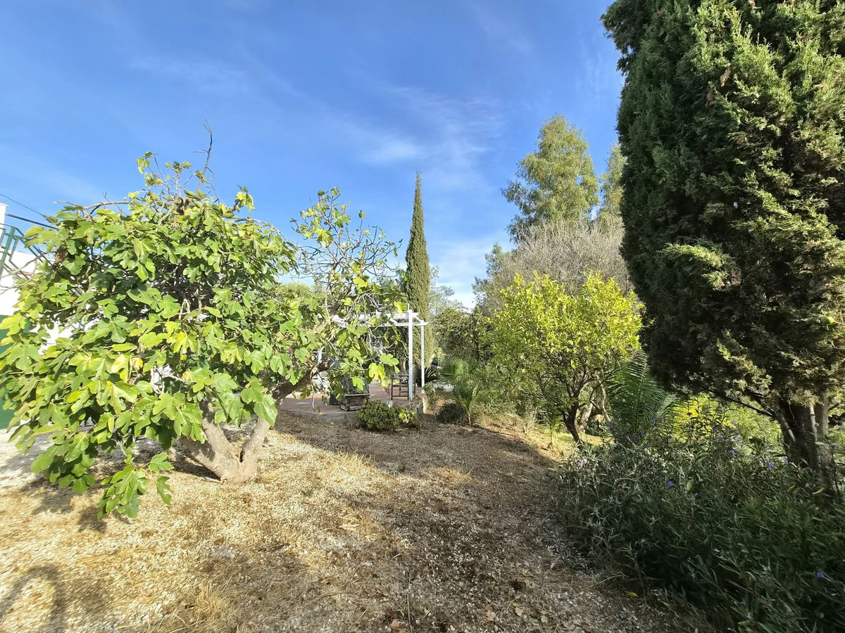 Property main view 26