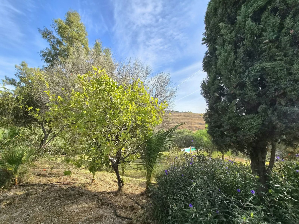 Property main view 27