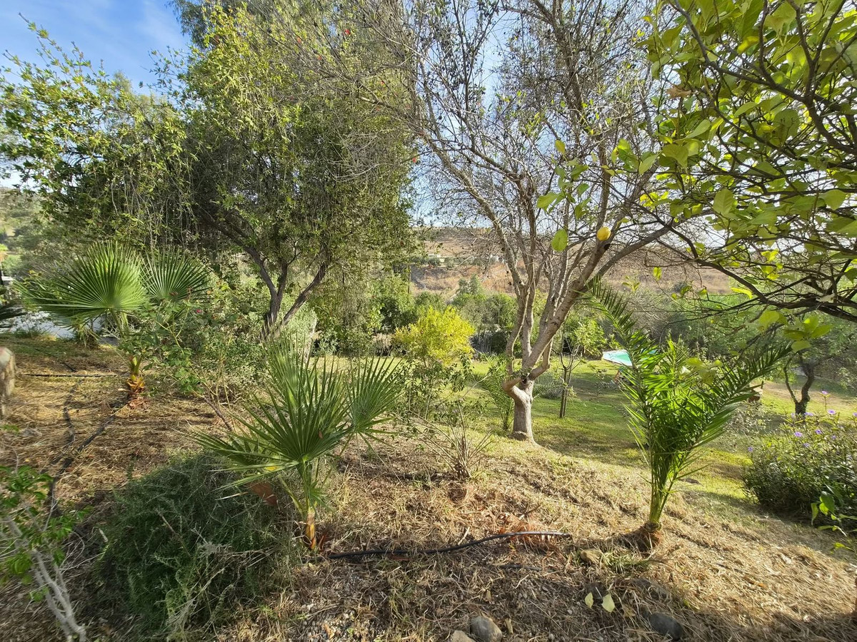 Property main view 31