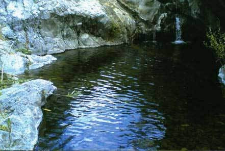 Finca - Cortijo te koop in Estepona | 5 slaapkamers H3162982