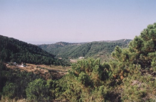 Finca - Cortijo te koop in Estepona | 5 slaapkamers H3162982