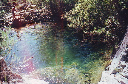 Finca - Cortijo te koop in Estepona | 5 slaapkamers H3162982