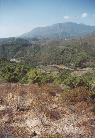 Finca - Cortijo te koop in Estepona | 5 slaapkamers H3162982