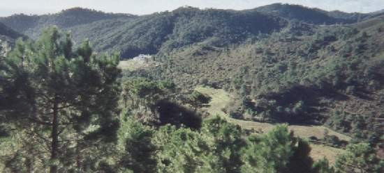 Finca - Cortijo te koop in Estepona | 5 slaapkamers H3162982